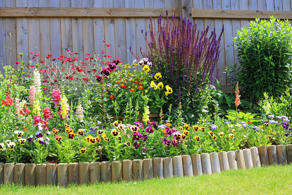 Colour Psychology in Garden Design: How to Choose the Right Hues