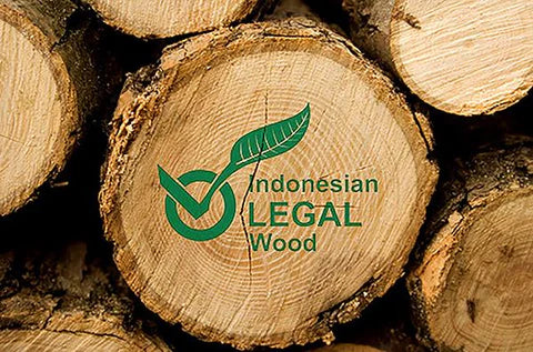 The History and Characteristics of Teak Wood